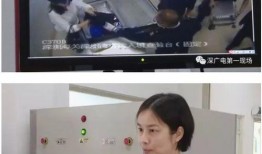 深圳谢小姐最新爆料,揭秘事件背后惊人真相