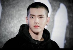 杨紫吴亦凡最新八卦爆料,最新八卦爆料揭秘真相